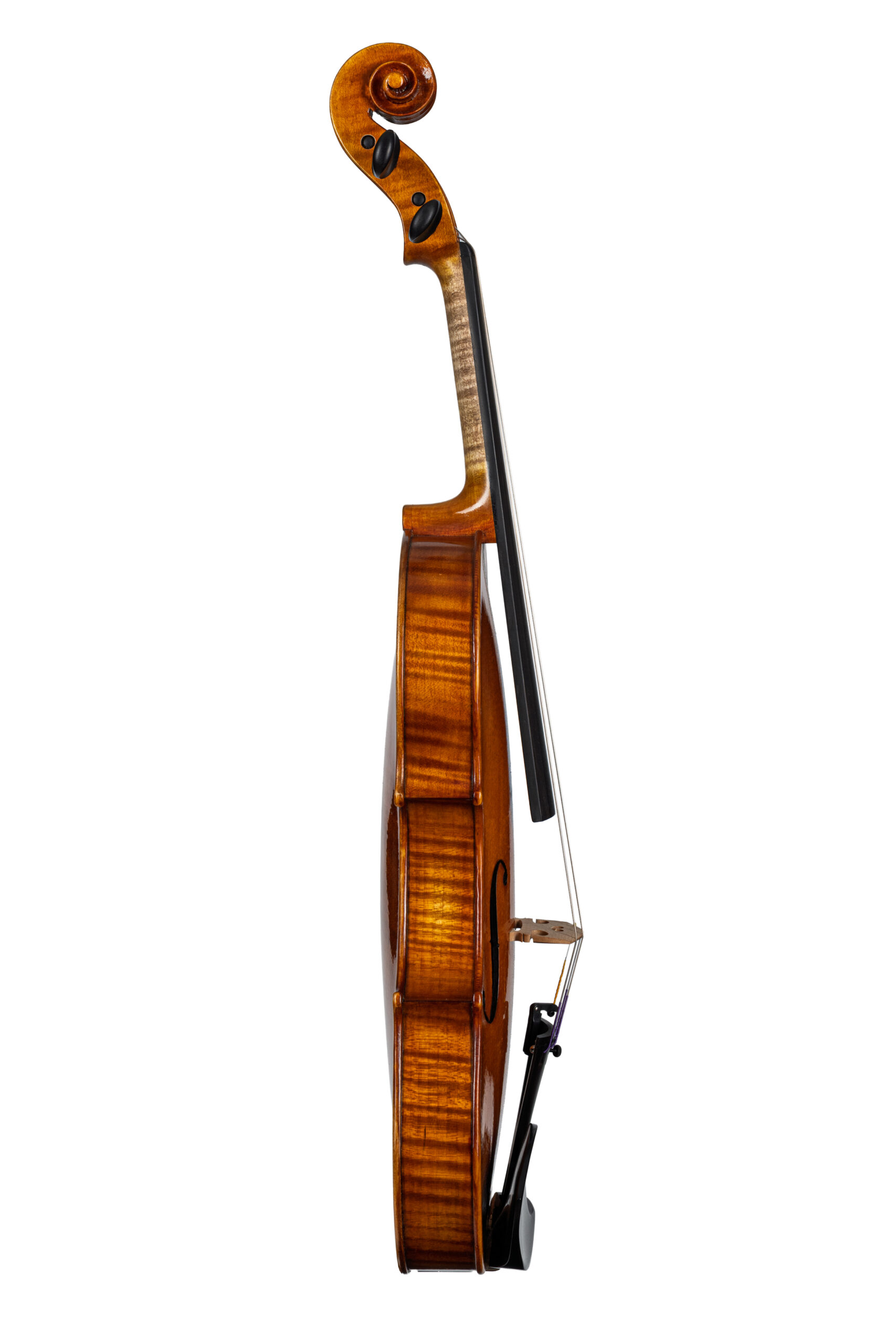 Violino Concerto D-115G - immagine 3