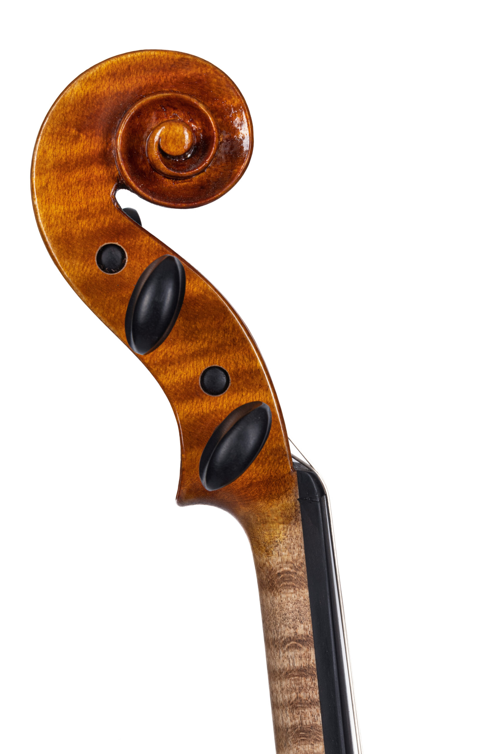 Violino Concerto D-115G - immagine 7