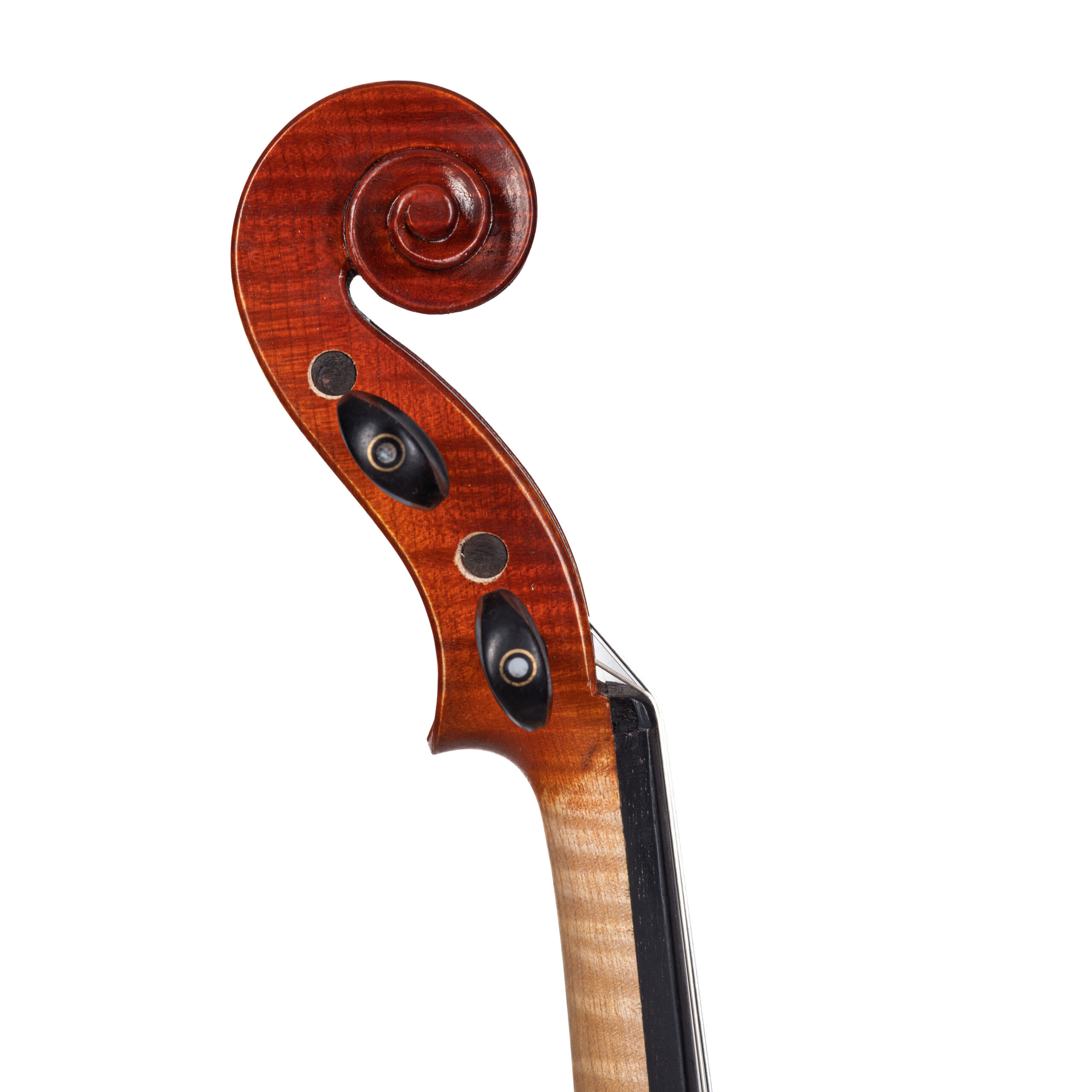 Violino Concerto D-115S - immagine 6